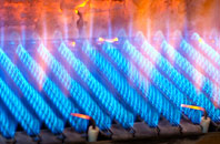 Buckhurst gas fired boilers